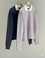 Collar sweatshirt