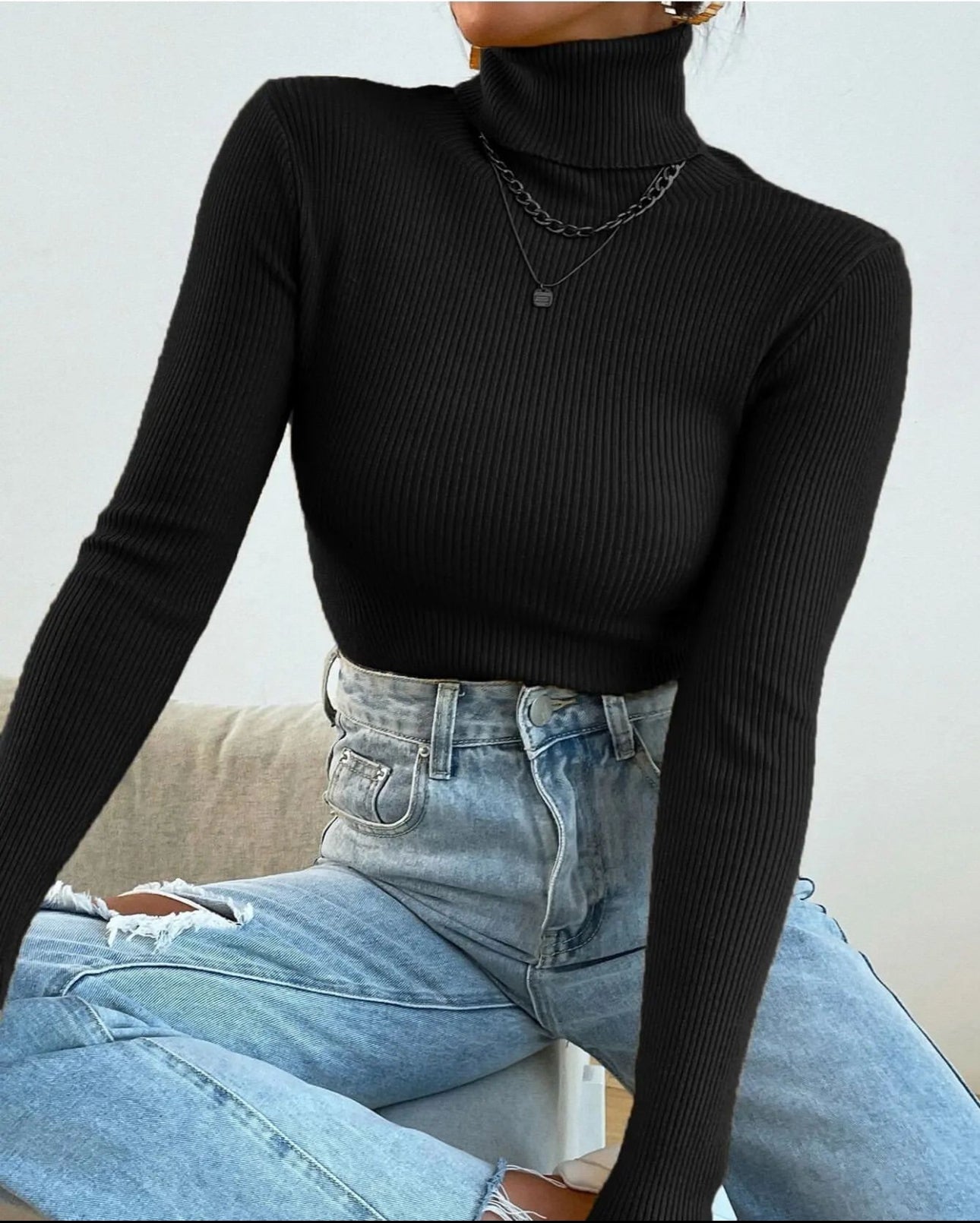 Ribnet highneck